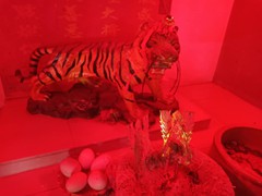 WhatsApp Image 2019-10-24 at 12.27.54